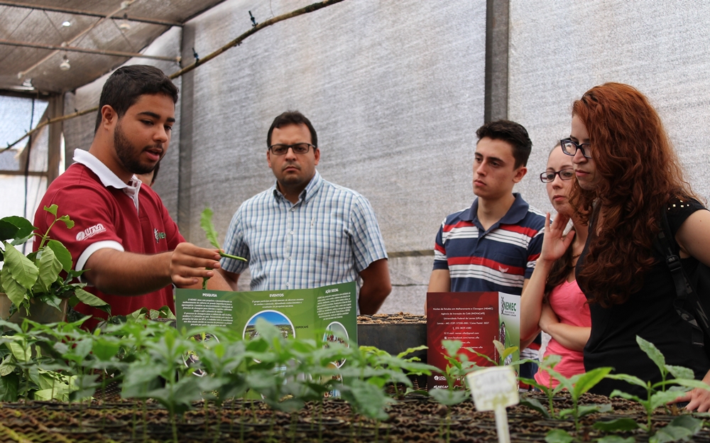 nucleo-de-estudos-em-melhoramento-e-clonagem-apresentou-tecnica-de-clonagem-por-estaquia