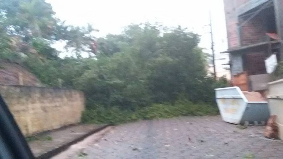 temporal-perdoes-1
