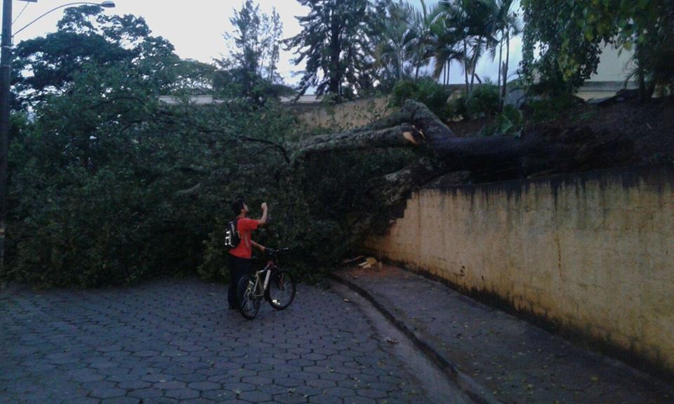 temporal-perdoes-2
