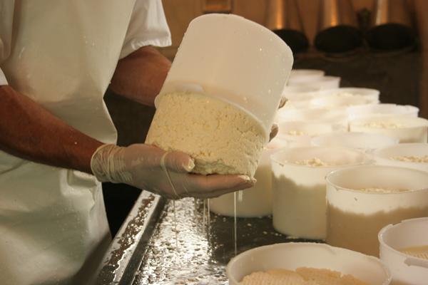 queijo