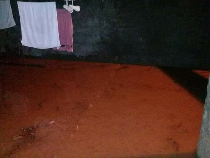 WhatsApp Image 2017-10-02 at 21.14.05 (1)