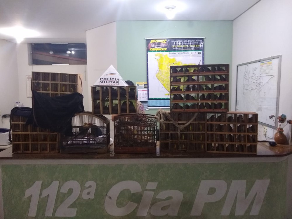 Foto: Polícia Militar do Meio Ambiente